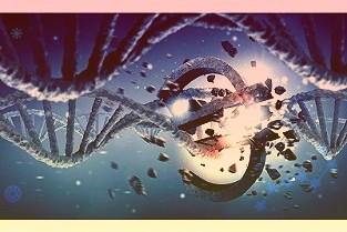 潞安环能601699:2021全年业绩高增2022Q1再创新高